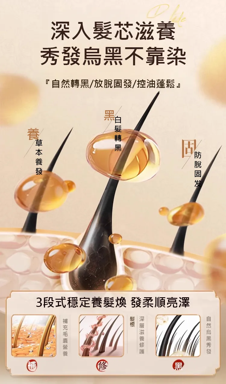 12.webp