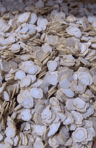 6.gif