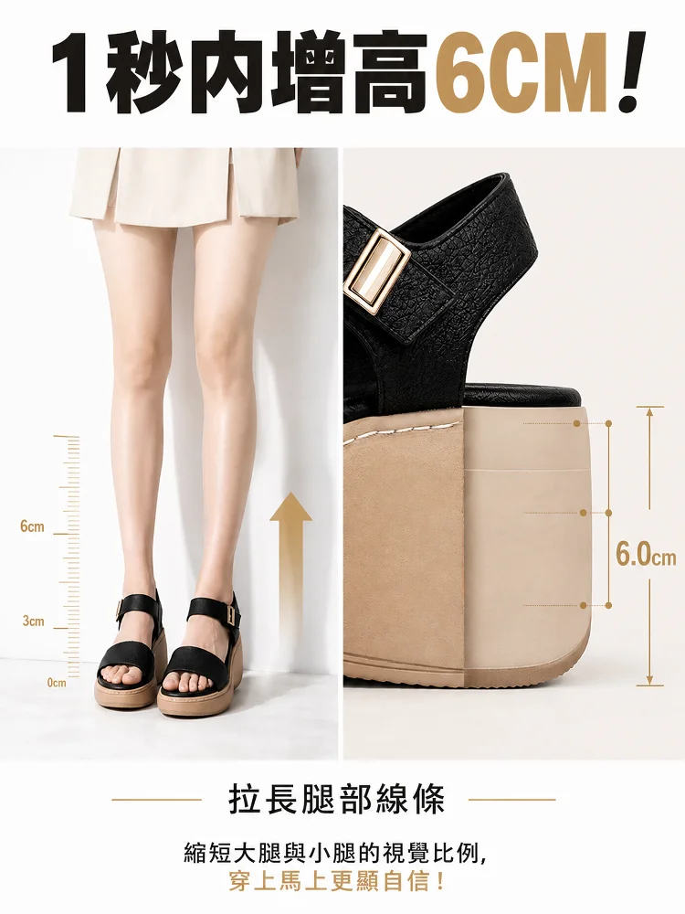 12.webp
