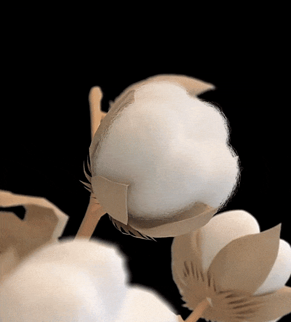 20260612_154444_012.gif