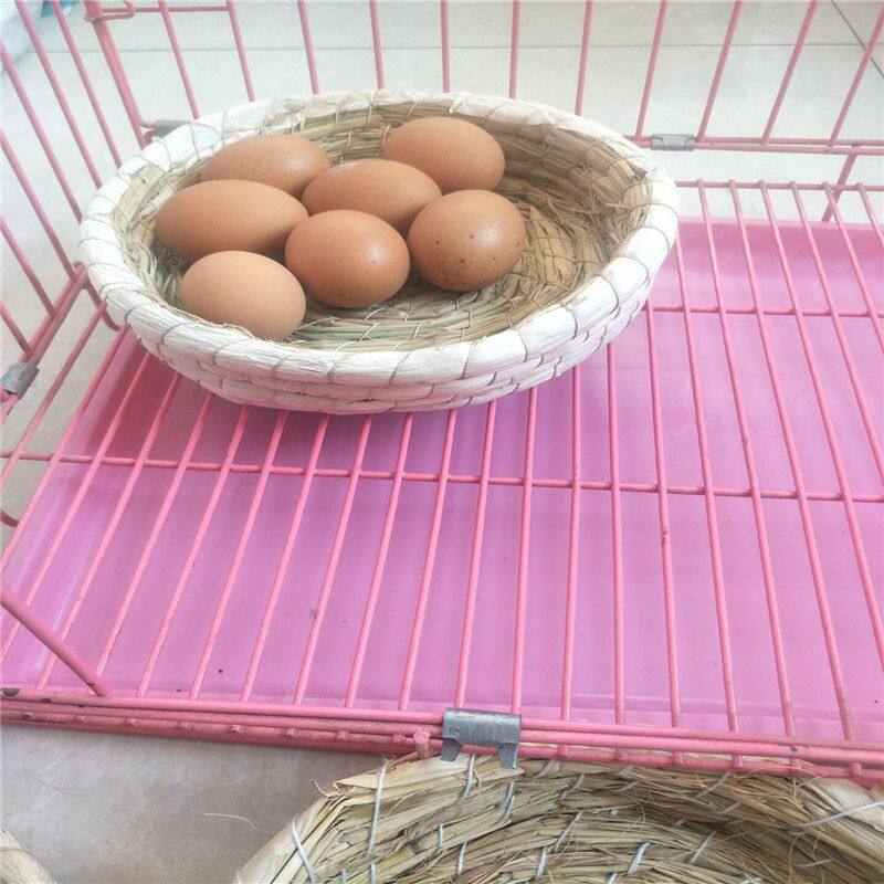 Pigeon nest Pigeon nest Pigeon nest Grass nest Grass nest Woven chicken nest Egg nest Egg hatching special household carrier pigeon supplies and utensils