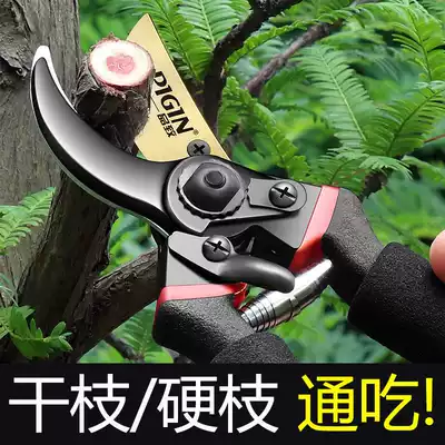 Cutting rough branches, fruit trees, pruning special scissors, gardening, pruning, labor-saving flower arrangement, fruit picking home, strong scissors