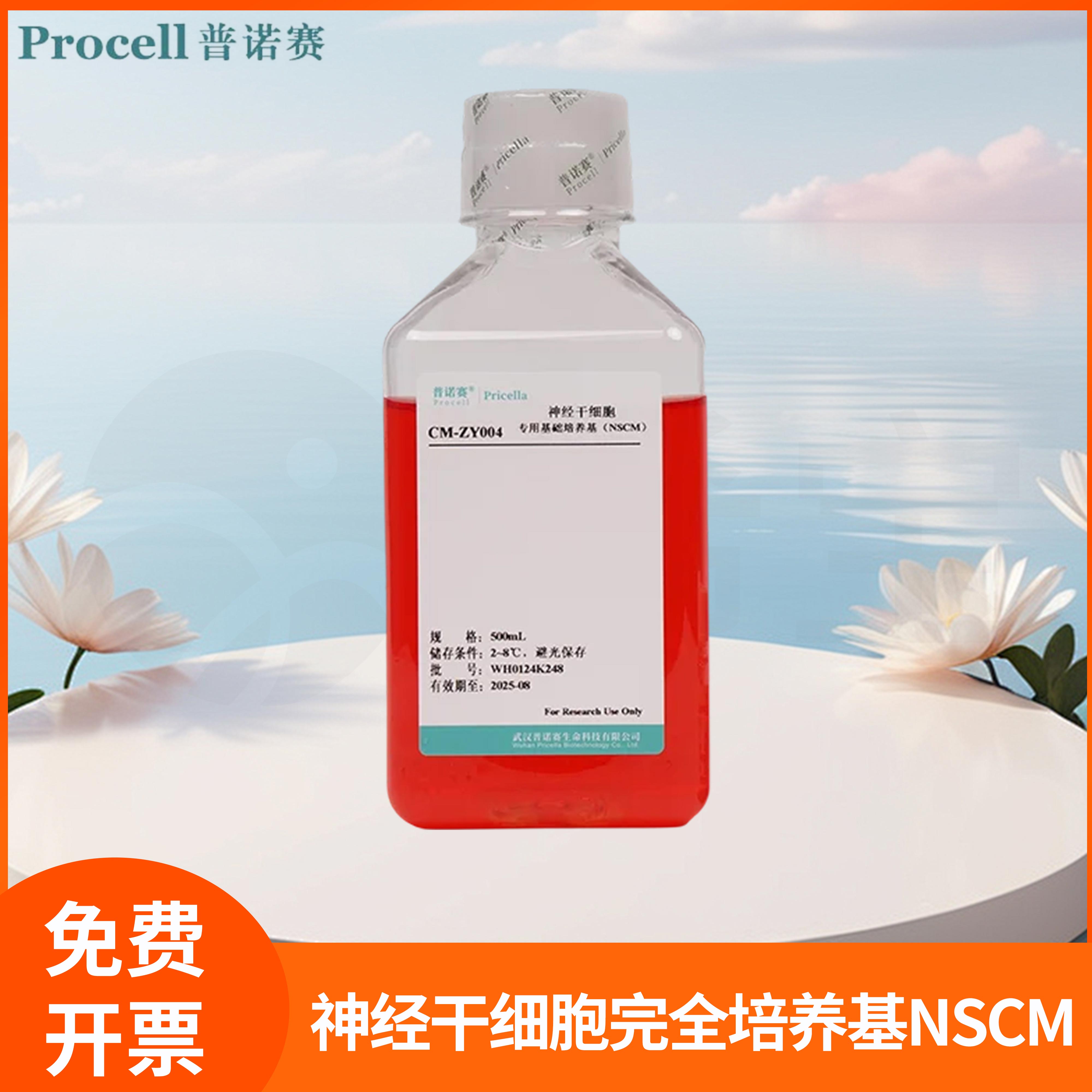 神经干细胞完全培养基NSCM全组分细胞完全培养Basal Medium普诺赛