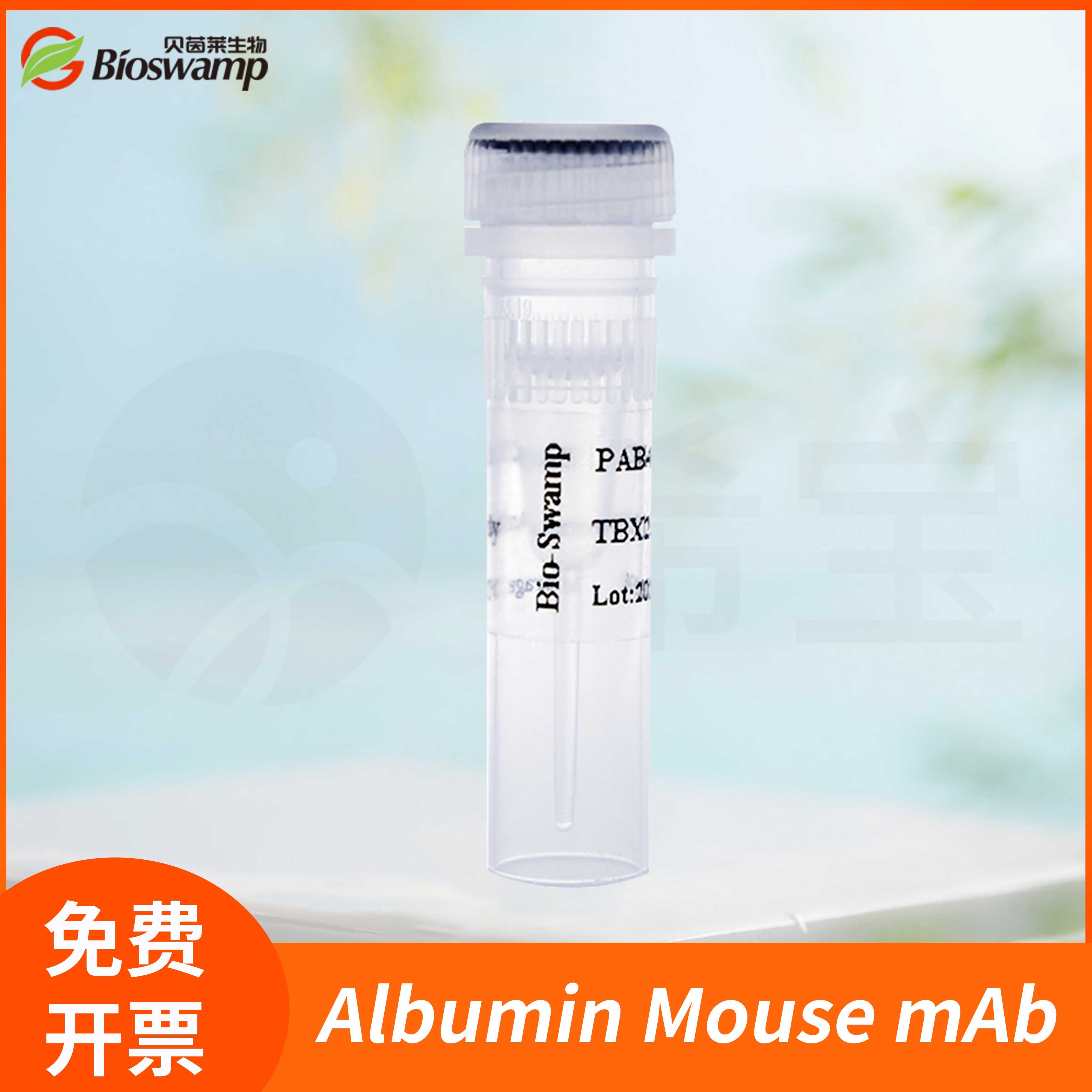 Albumin Mouse mAb serum albumin albumin 1 albumin (AA 34)