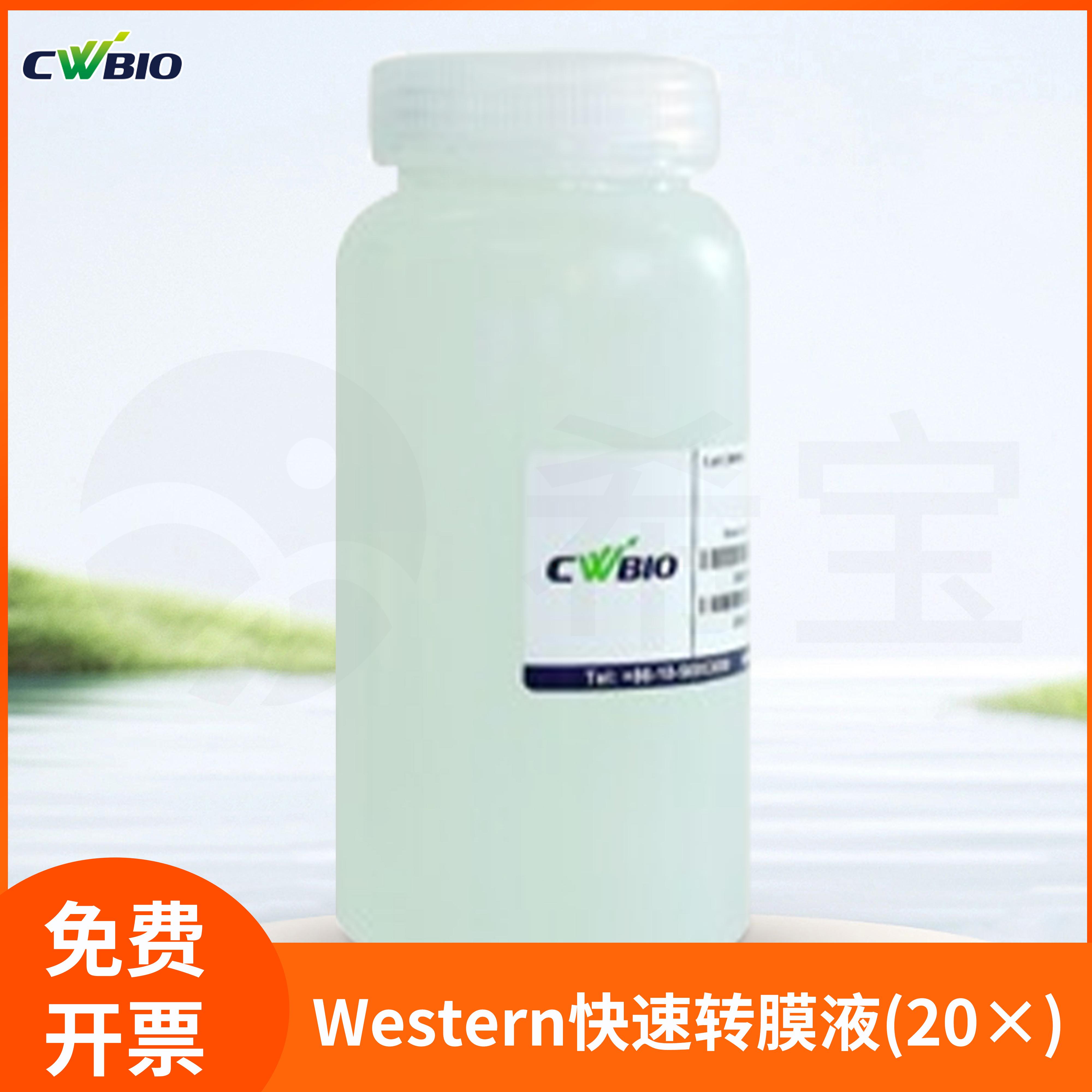 Western快速转膜液(20&times;) Western Rapid Transfer Buffer(20&times;)