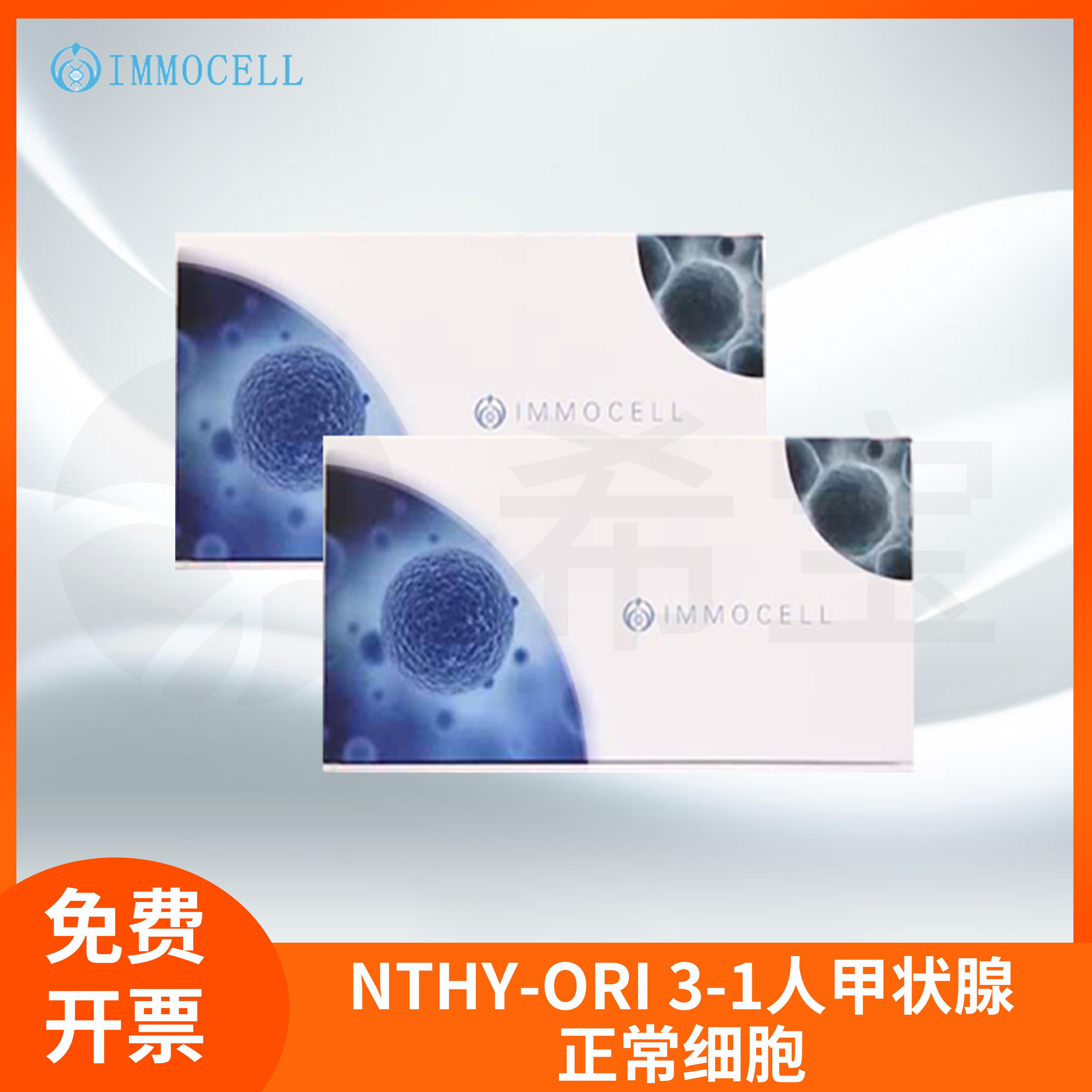 逸漠NTHY-ORI3.1 Nthy-ori 3-1人甲状腺正常细胞(STR鉴定正确)