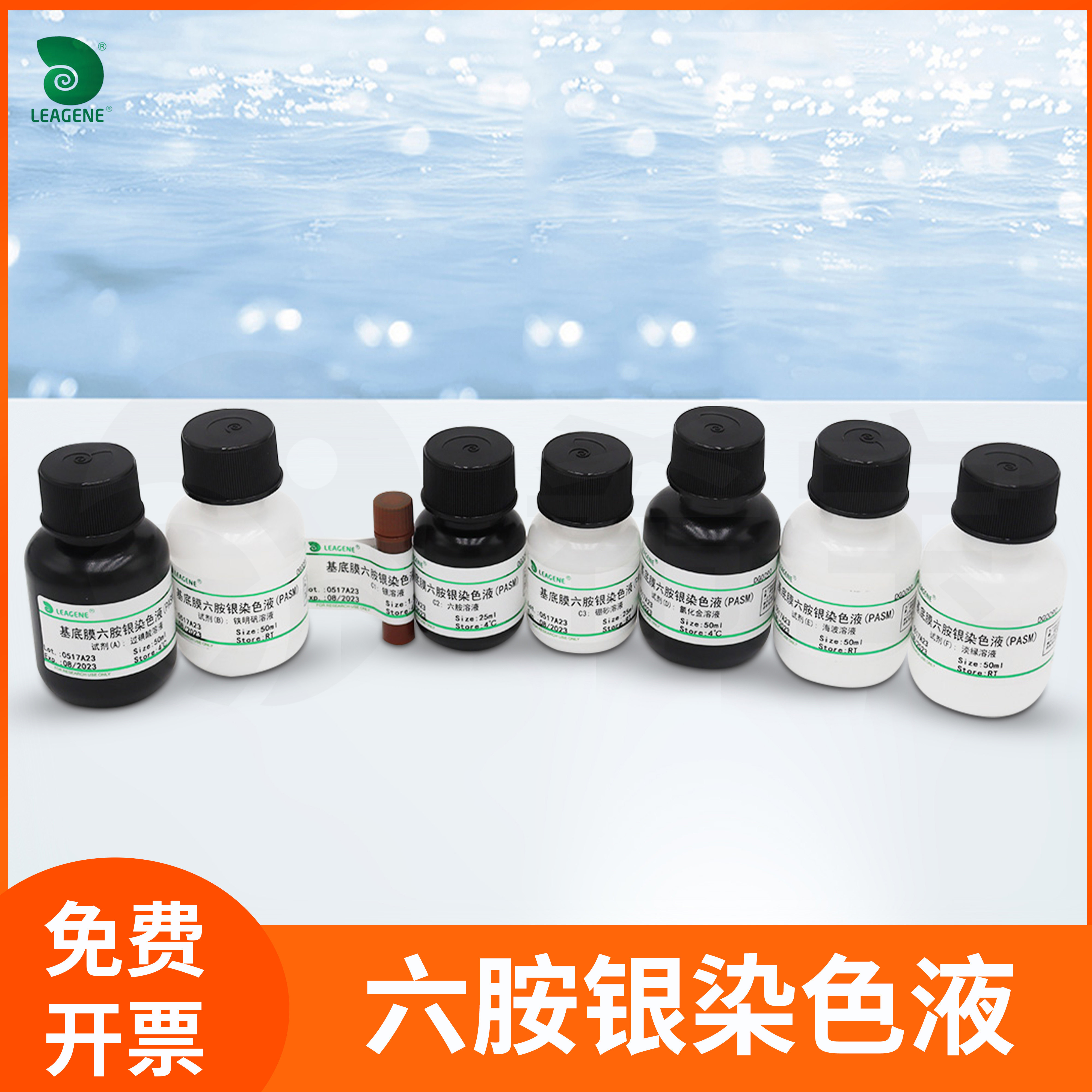 六胺银染色液PASM/改良Grocott-橙黄G法/苏木素法基底膜显示雷根
