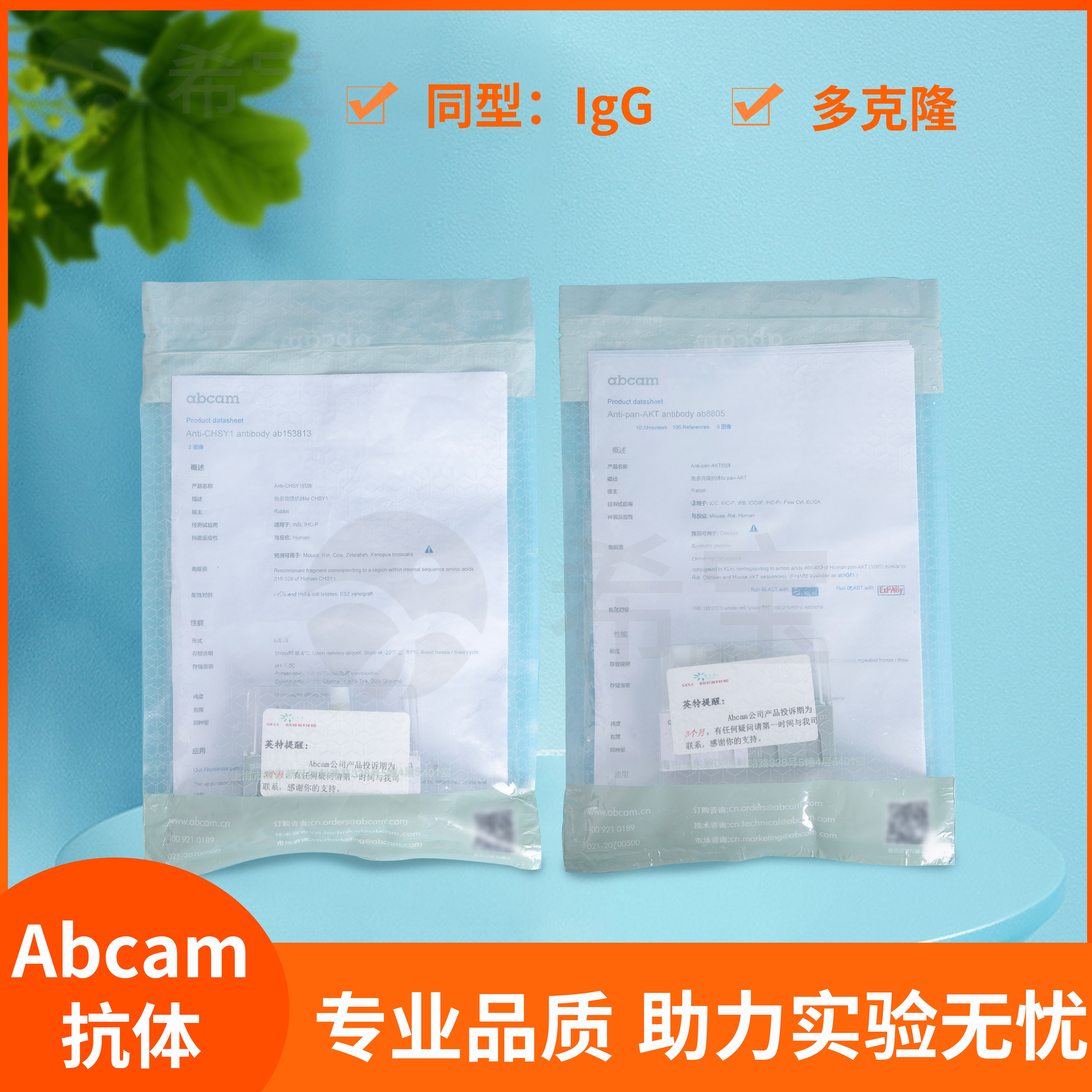 abcam抗体Anti-CHSY1 Anti-pan-AKT人鼠兔多克隆WB IHC-P ICC/IF