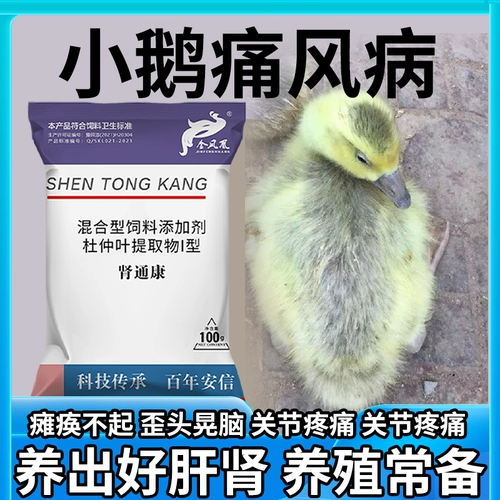 Подагра Кан Гусь Плохой тыква, Граф с куриной утиной, парализованный сон, эффект, эффект, анти -анти -детоксицидные добавки