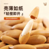Brazilian Pine Nuts 500g New Stock 2025 Hand-Peeled Large Kernels Original Flavor Long Grain Afghan Nuts Snacks Dried Fruit New Year Goods