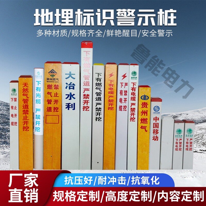 山东鲁能电力安防