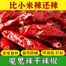 Spécial Chilli Séché Séché Séché Red Pepper Section Super Spicy Chili Peppers Noodles Permalink Peppers Spicy Commercial Seasoning Chili Dry Goods