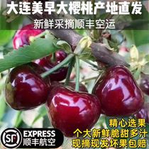 Cherry explosion cherry super hot