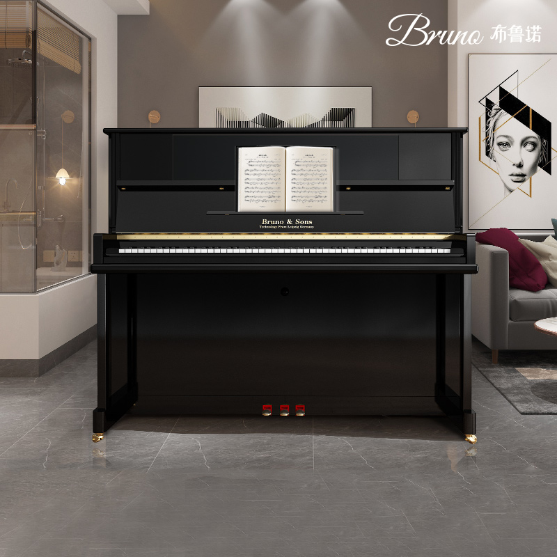 Bruno Bruno GT 550 new vertical home professional exam class playing real piano