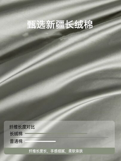 Catman 100 algodón puro juego de cama de cuatro piezas 2025 nueva sábana de satén de alta gama para dormitorio funda de edredón 4