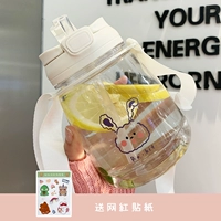 Двойная дискринка из слоновой кости белый кролик 1000 мл+наклейка (случайный стиль)