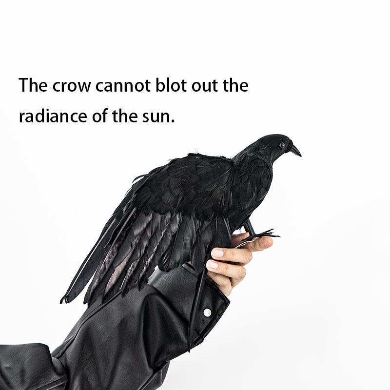 Big number dark black magic crow emulation Gothic feather script Milroom Halloween filming COS props swing piece-Taobao