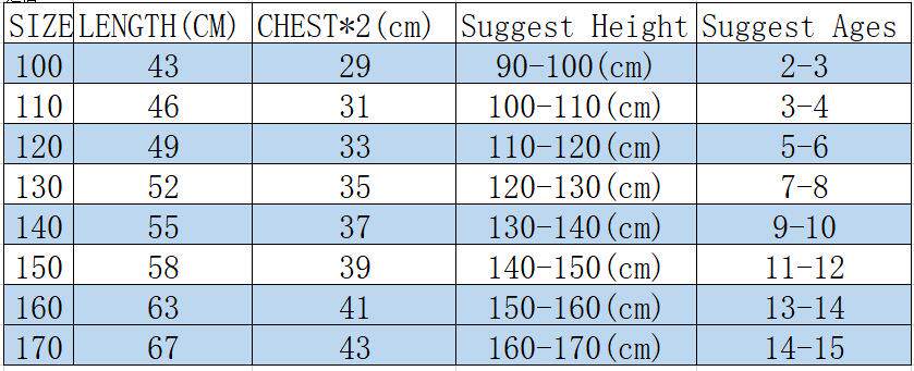 Сервер 100-170.png