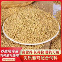 Chicken Feed Rutin Chicken Feed Brooding Egg-laying Quail Feed Open Grain Rutin Chicken Grain Chicken Feed Goose Duck Feed