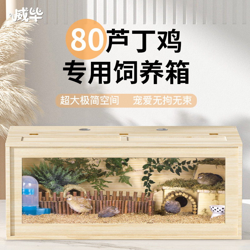 Rutin chicken breeding box insulation box Ruding chicken nest landscaping chicken house Luding chicken house quail breeding cage