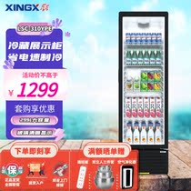 Star Refrigerator Convenience store fresh beer cabinet Supermarket Commercial refrigerator single door vertical freezer