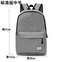 Серая сумка через плечо стандартного среднего размера [нельзя заряжать и слушать музыку] (без подарков)