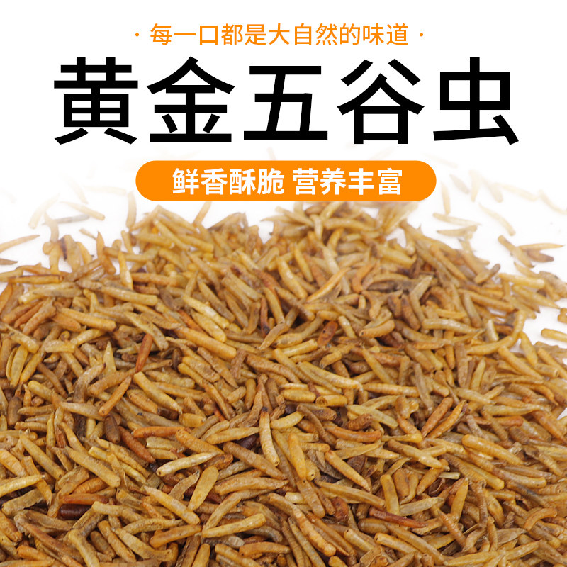Five Valley Worm Birds Eating Maggots Dry Five Valley Worm Maggots Dried Octagmy White-Head Weng Painting Brow Feed Snacks 500 gr