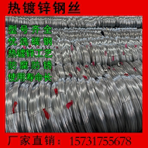 Hot-dip galvanized steel wire hot-dip galvanized steel strand straightening steel wire agricultural galvanized steel wire fruit and vegetable greenhouse frame
