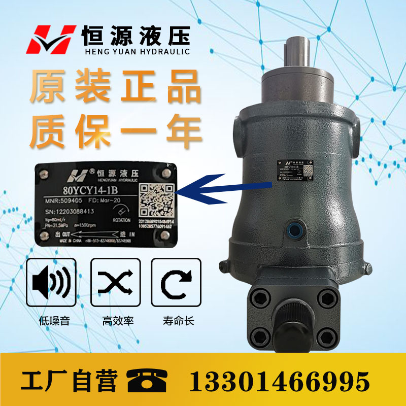 Jiangsu Hengyuan hydraulic high-pressure oil pump 10 25 40 63 80 160 250YCY14-1B axial piston pump
