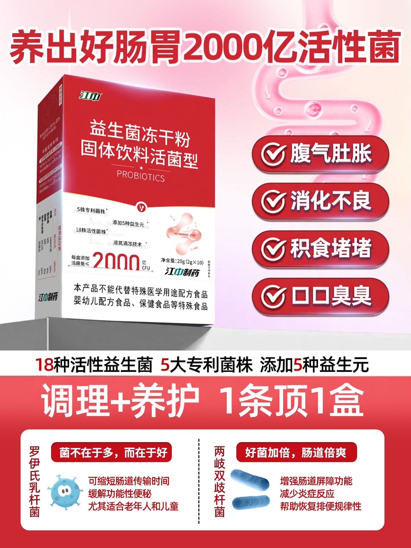 Jiangzhong Official Probiotic Freeze-Dried Powder for Adults to Regulate the Gastrointestinal Tract, Adult Women's Warm-Release Live Bacteria to Improve Constipation