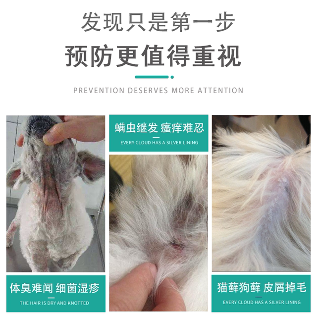 Pet dog cat skin disease spray cat ringworm topical drug enrofloxacin pet mite fungus ພະຍາດຜິວຫນັງຊຸດ