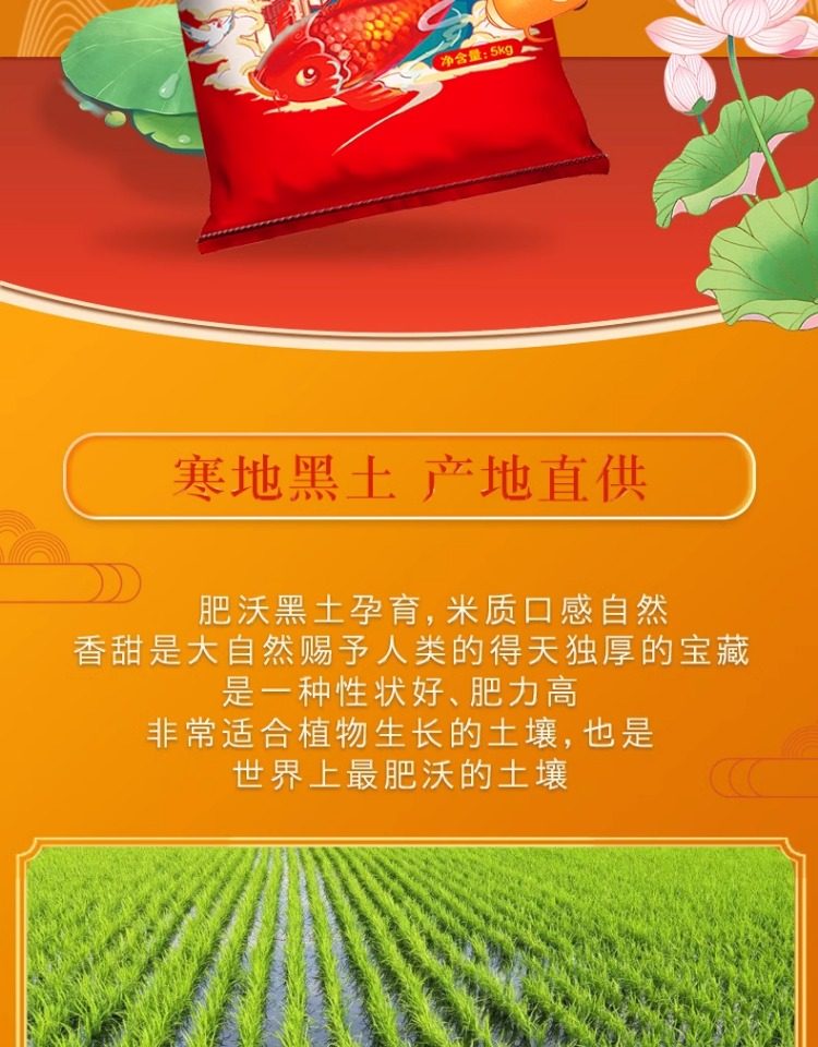 安享好物 安享D级粳米-谷米集长粒香米 行标 