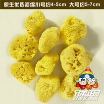  Hermit crab pet Greece imported edible anti-drowning sponge to reduce getting wet and dirty bedding when drinking water