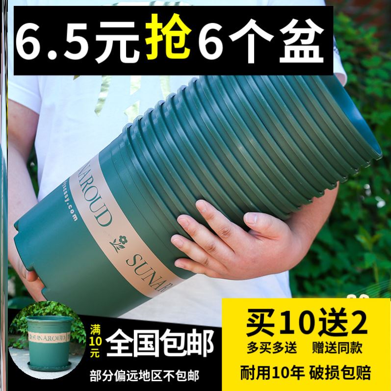 Special pot for strawberry potted classic gallon flowerpot golden kudzu potted small flowerpot rose resin plastic flowerpot