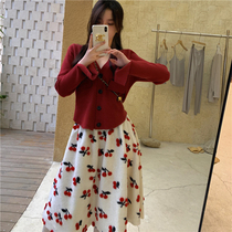 Sandro Moscoloni autumn temperament fashion two-piece womens knitted sweater coat floral skirt