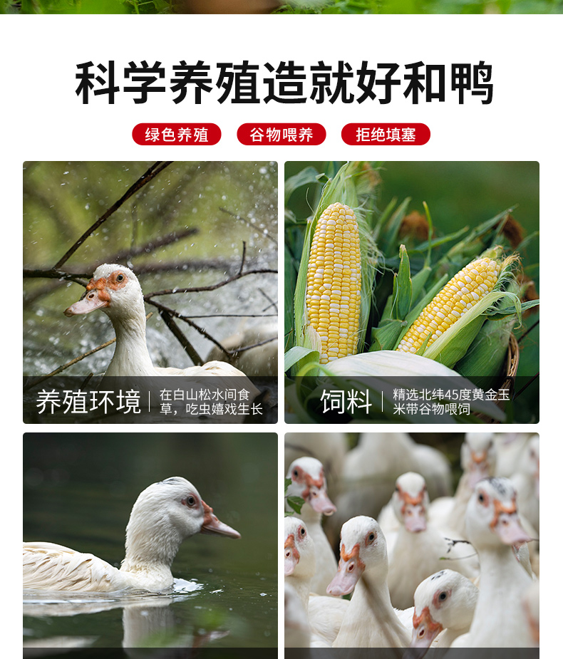 法尚 手撕酱板鸭 东北正宗和鸭 800g/半只 图2