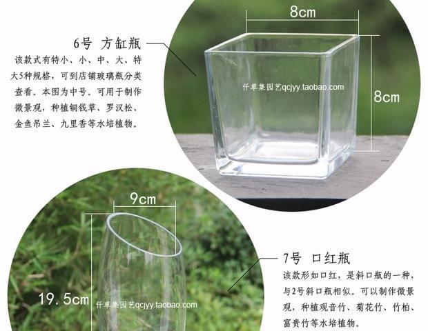 Bình thủy tinh ốc xà cừ chai thủy tinh thịt hoa bình hoa sáng tạo vi cảnh quan sinh thái bình thủy canh - Vase / Bồn hoa & Kệ lọ cắm hoa