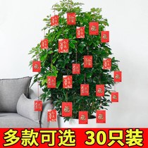 Small red envelope bonsai ornaments New Years Spring Festival plant decoration pendant indoor layout classroom office