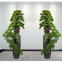 Large Emulation Greet Guest Pine Bonsai Hotel Office Genguan Landing Flower Shelf Decoration Pendulum company Opening Gift