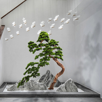 Simulation Pine Greet Pines Pinewood Pine Trees Merchants City Hotel Sales of the Prototype Board Room Welcome Guest Pine Landscape Swing