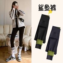 Barbie dolphin pants autumn and winter plus velvet bottomed sand fish pants womens thick outer wear shark pants extended tall high waist tight