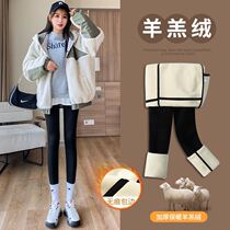 Barbie Dolphin Pants Autumn and Winter Shark Pants Longer Long Long Bottom Sand Fish Pants Women Thick Wear Plus Crying Pants Tide