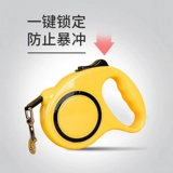 Поводок для собак, автоматический втягивающийся поводок для собак, противосрывной, специально для собак мелких и средних размеров, Тедди Корги