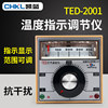 Ted-2001 Series Temperature Controller, Pointer Type Thermostat, Oven Temperature Control Meter, Temperature Controller