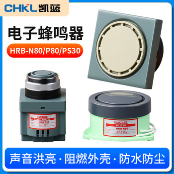 Nanzhou Buzzer Dc24V12V Ac220110V Hrb-N80 High Decibel Active Small Alarm Horn