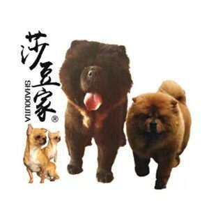 莎豆家萌宠用品馆