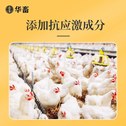 华畜 Vitality Jinwei Электролитические многоразмерные звери для витаминных следовых элементов свиного рогатого скота, овец, курица, масла печени черепа