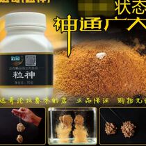 Dachi Grain Phishing Additive In the Sticky Red Worm Linen Group Rubber Loose Cannon floating Shrimp Slip Jam Pumpkin Ghee