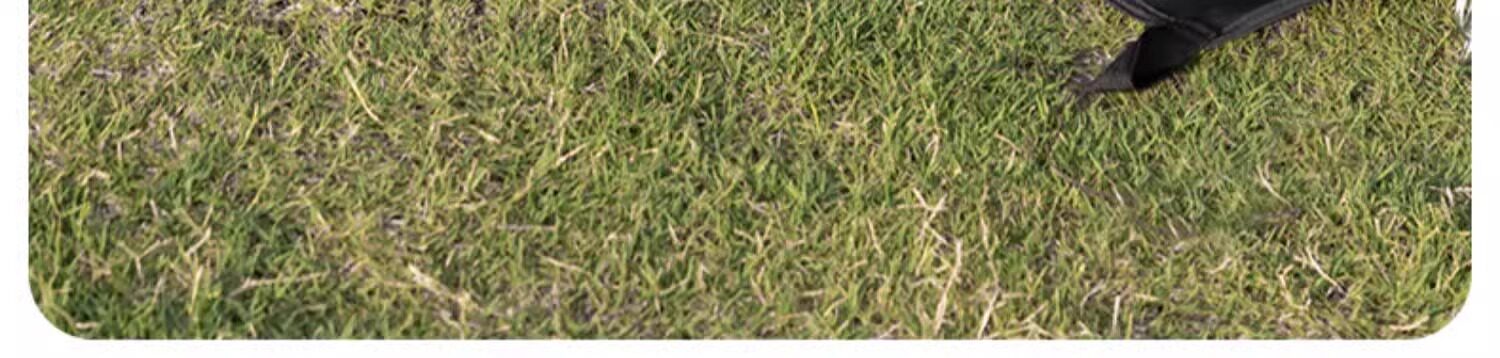 Атриум None ShineTrip