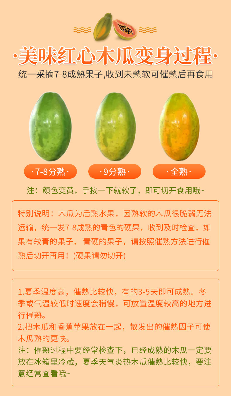 广西 红心牛奶木瓜 9斤装 约5-8个 图6
